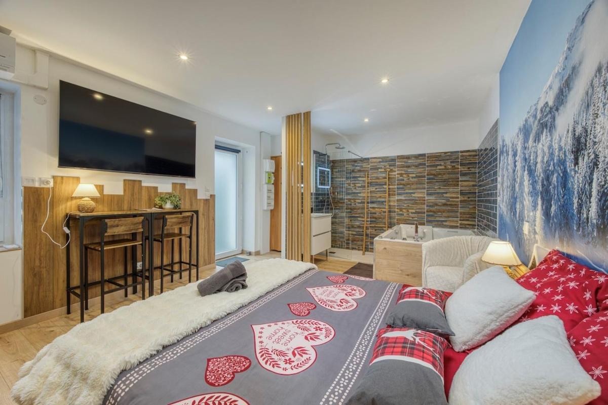 Le Montblanc Apartment Roanne